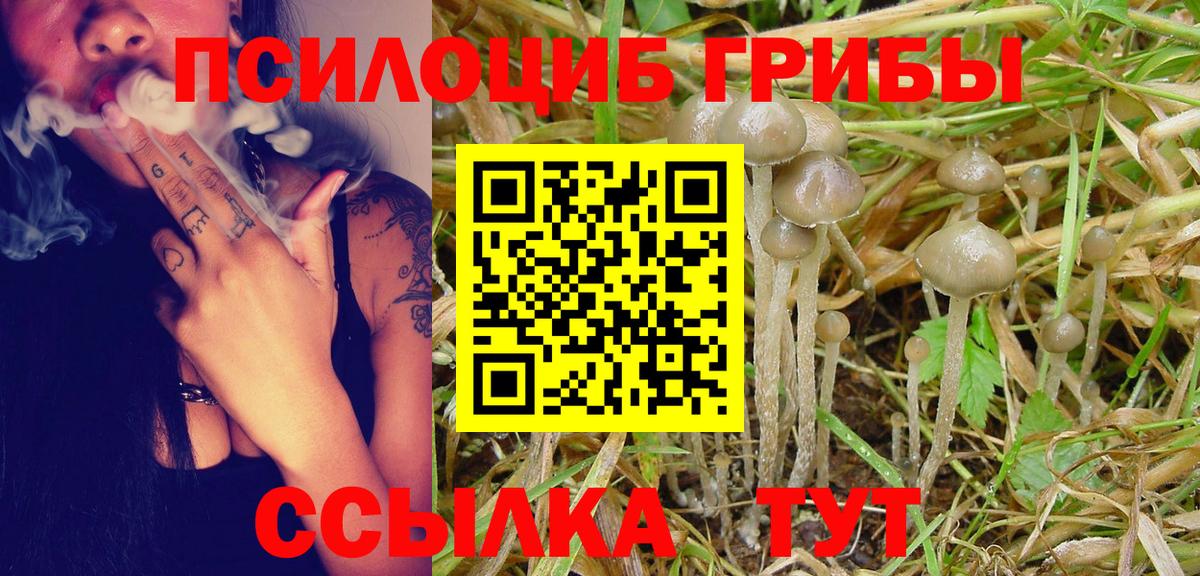 Псилоцибиновые грибы GOLDEN TEACHER Волжск